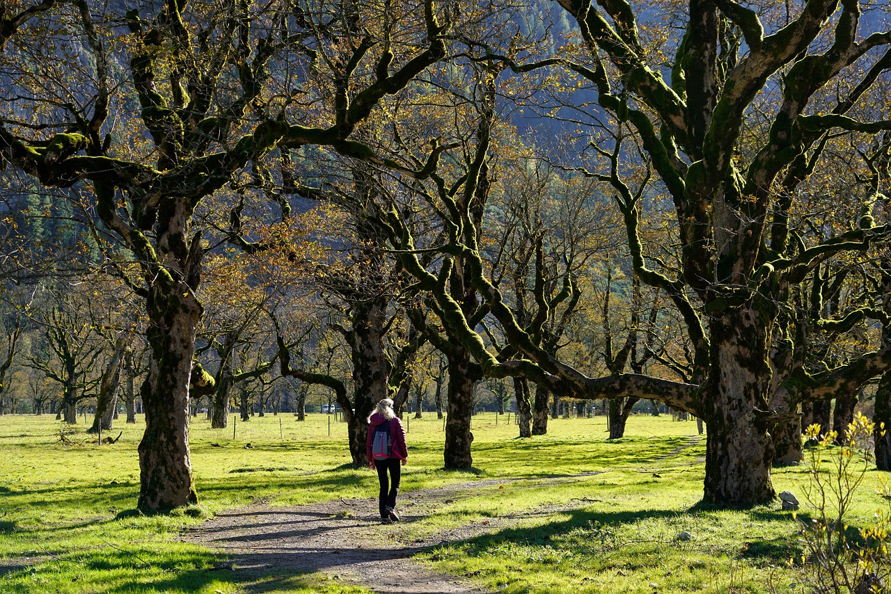 découvrez nos conseils et astuces pour le backpacking, profitez d'aventures inoubliables en sac à dos à travers le monde, tout en voyageant léger et malin.