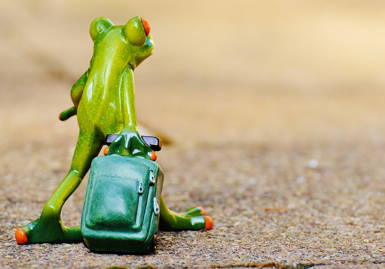 découvrez des astuces et conseils pour voyager à petit prix, profiter de destinations abordables et organiser des vacances économiques sans compromis sur la qualité.