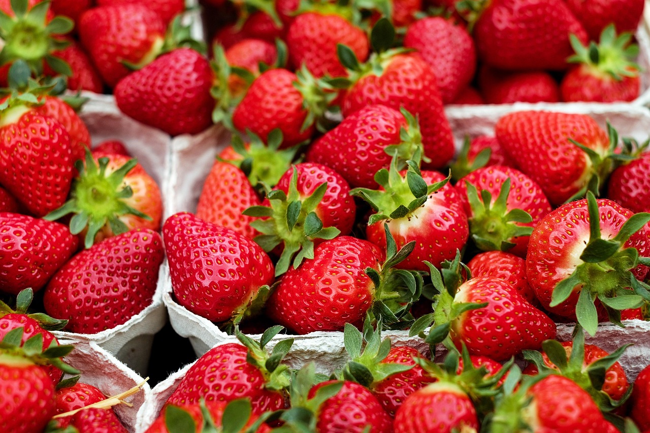 découvrez les meilleurs food markets : une sélection de marchés gourmands pour savourer des produits frais, locaux et des spécialités du monde entier dans une ambiance conviviale.